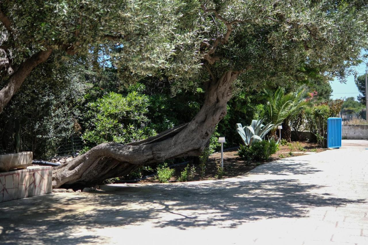 Villa Pugliamandia Monopoli Esterno foto