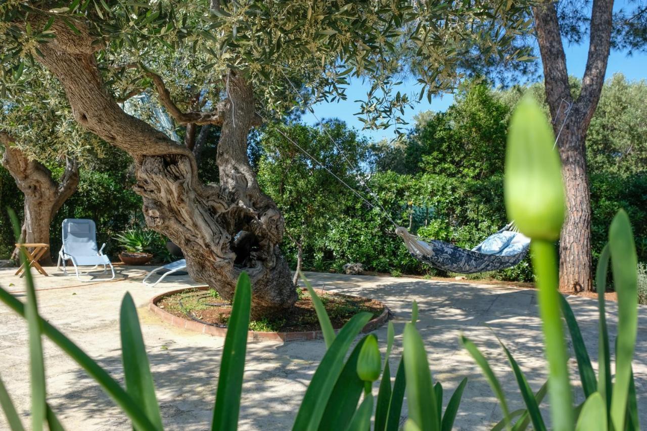 Villa Pugliamandia Monopoli Esterno foto