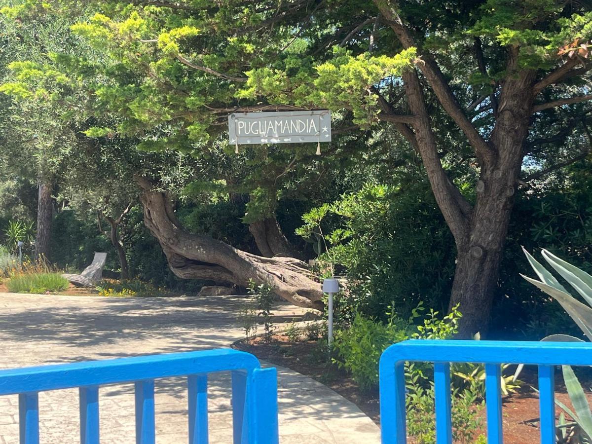 Villa Pugliamandia Monopoli Esterno foto