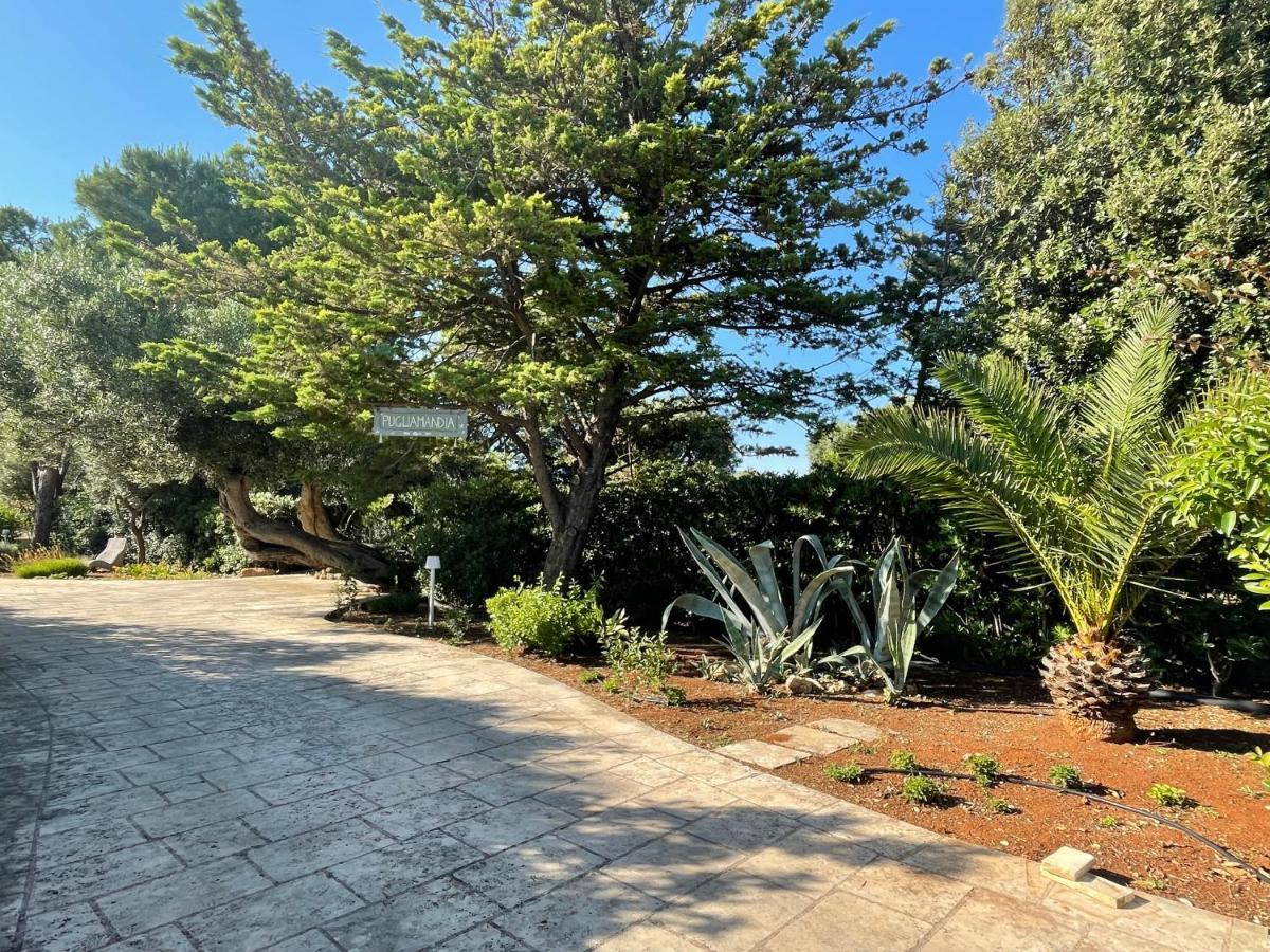 Villa Pugliamandia Monopoli Esterno foto